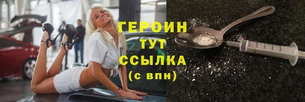 индика Богданович