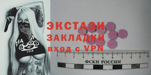 индика Богданович
