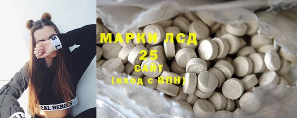 индика Богданович