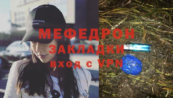 индика Богданович