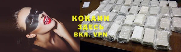 индика Богданович