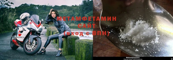 индика Богданович